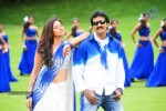 Poola Rangadu Movie New Stills - 8 of 34