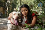 Poorna Market Movie Stills - 31 of 61