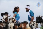 Prasthanam Movie New Stills - 42 of 25