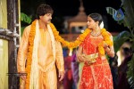 Pravarakyudu Movie Stills - 14 of 39