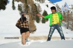 Prema Kavali Movie New Gallery - 113 of 159