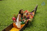 Prema Nilayam Movie Stills - 64 of 80