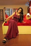 Prema Oka Maikam Movie Stills n Walls - 11 of 13