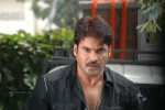 Prema Pilustondi Movie Photos - 12 of 15