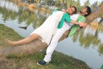 Prema Prayanam Movie Stills - 17 of 44