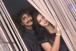 Priya Premalo Pream Stills and Walls - 3 of 69