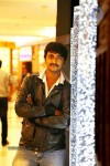 Priya Premalo Pream Stills n Walls - 34 of 90