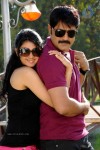 Pushyami Film Makers Movie Stills - 2 of 25