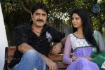 Pushyami Film Makers Movie Stills - 5 of 25