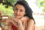 Puthiya Thiruppangal Tamil Movie Stills - 4 of 15