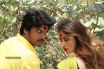 Raai Laxmi's Sowkarpettai Tamil Movie Photos - 24 of 30