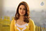 Rachcha Movie New Stills - 48 of 53