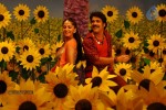 Ragada Movie New Gallery - 16 of 30