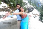 Raaj Movie Latest Stills - 8 of 14