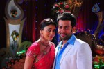 Raja Pokkiri Raja Tamil Movie Stills - 8 of 71