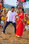 Raja Pokkiri Raja Tamil Movie Stills - 71 of 71