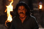 Rajanna Movie Stills - 7 of 30