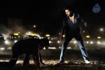 Naayak Movie New Stills - 6 of 11