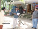 Ramadandu Movie Stills - 93 of 155