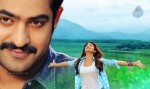 Ramayya Vastavayya New Stills - 1 of 3