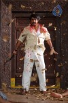 Ranga the Donga Movie New Stills - 71 of 78