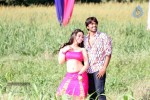 Rey Rey Movie New Photos - 37 of 40