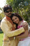 Ringa Ringa Movie Hot Stills - 15 of 28