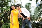 Rowdy Gari Pellam Movie Stills - 9 of 17