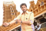 Rowdy Simha Movie Stills - 22 of 72
