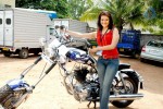 Rowdy Simha Movie Stills - 25 of 72