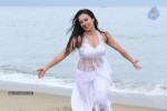 Sana Khan Hot Stills in Gajjala Gurram - 13 of 18