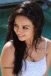 Sana Khan Hot Stills in Gajjala Gurram - 16 of 18