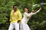 Sandamarutham Tamil Movie Gallery - 38 of 51