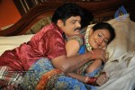 Sankranthi Alludu Movie New Stills - 13 of 47