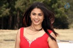 Santhithathum Sindhithathum Tamil Movie Stills - 77 of 78