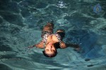Sarena Movie Hot Stills - 29 of 46
