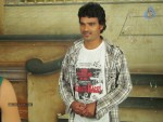 Sarena Movie Hot Stills - 30 of 46