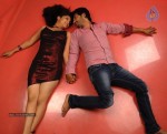 Sasesham Movie Latest Stills - 6 of 23