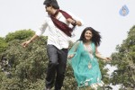 Sasesham Movie New Stills - 21 of 45