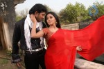 Seema Tapakai Movie Photo Gallery - 99 of 309