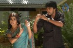 Seema Tapakai Movie Photo Gallery - 224 of 309