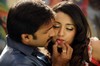 Shankam Movie Stills - Gopi Chand - Trisha - 21 of 22