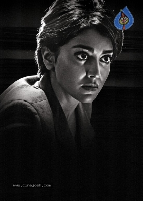 Shriya Saran First Look From Veera Bhoga Vasantha Rayalu - 1 of 2