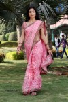 Shriya Stills in Pavitra Movie - 2 of 30
