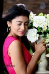 Shriya Stills in Pavitra Movie - 8 of 30