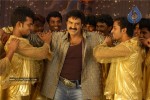 Simha Movie New Stills (CineJosh Exclusive) - 15 of 52