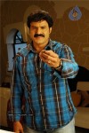 Simha Movie New Stills (CineJosh Exclusive) - 25 of 52