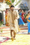 Simha Movie New Stills (CineJosh Exclusive) - 28 of 52