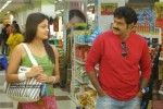 Simha Movie New Stills (CineJosh Exclusive) - 40 of 52