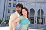 Simha Putrudu Movie New Stills - 10 of 62